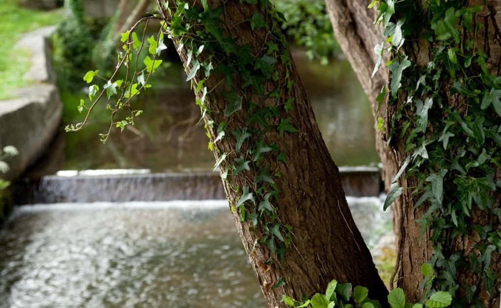 Hotel Balneario De Артейсо Екстериор снимка
